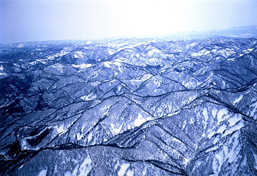 白神山地の空撮