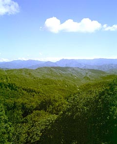 白神山地の全景