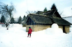 新庄市内の雪景色