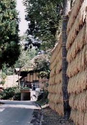 中里村 写真