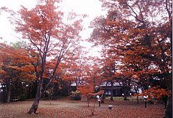 旧越路町の紅葉園