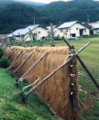 元屋の風景写真