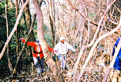 山道を登る。